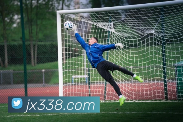 尊皇国际官网平台生态图