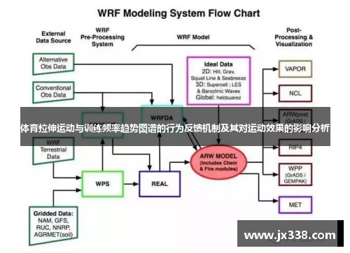 体育拉伸运动与训练频率趋势图谱的行为反馈机制及其对运动效果的影响分析